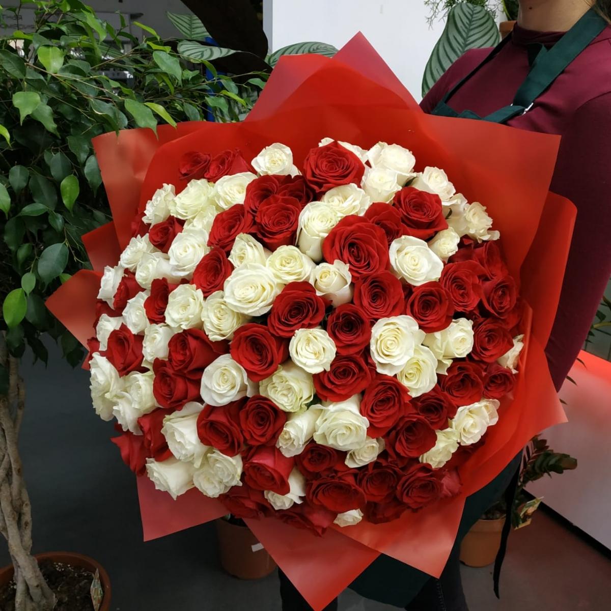 Букет из 101 розы (красные и белые розы)