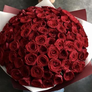 Роза красная 101 шт (80 см)